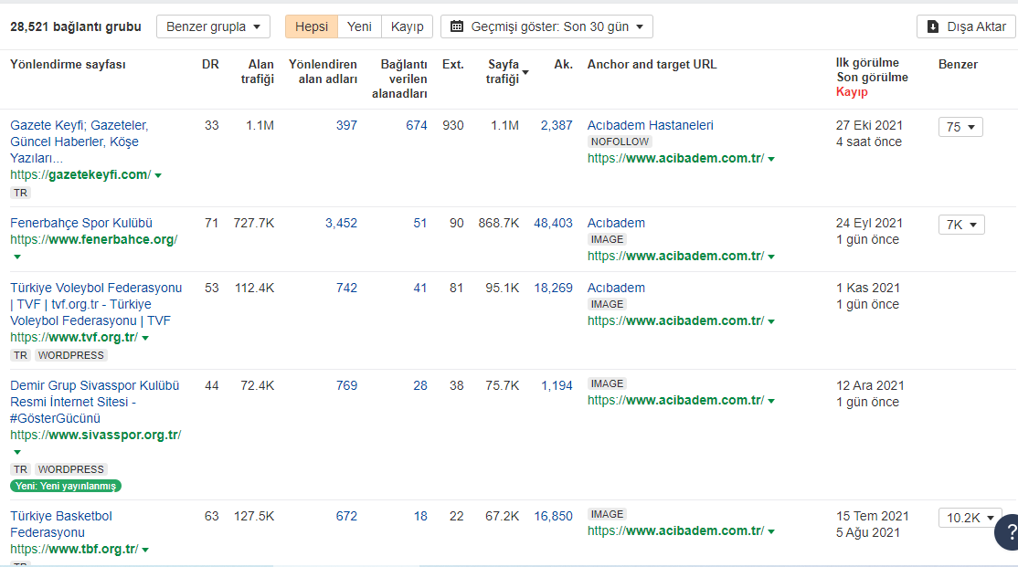 ahrefs backlink araştırması