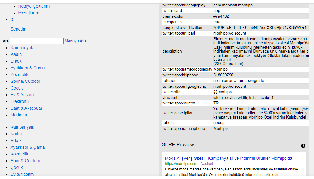 google web siteleri nasıl görür