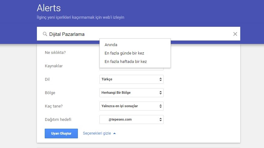 Google Alerts Ne Sıklıkta