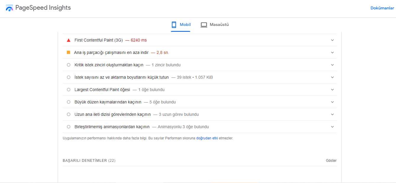 GOOGLE PAGE SPEED INSIGHT
