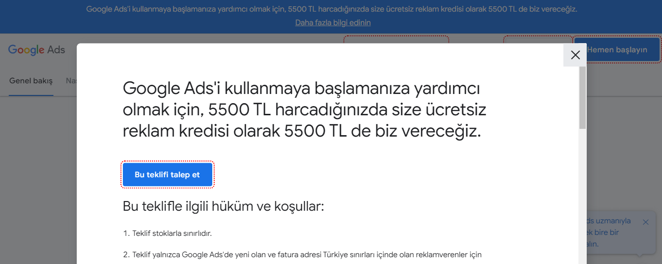 Google Ads Kampanyası