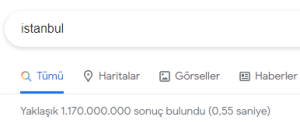  Google Arama Operatörü allinanchor