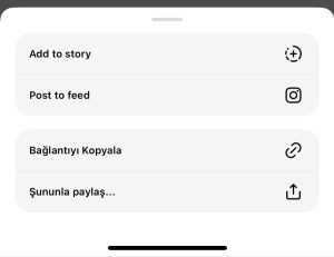 Threads Instagram Stories