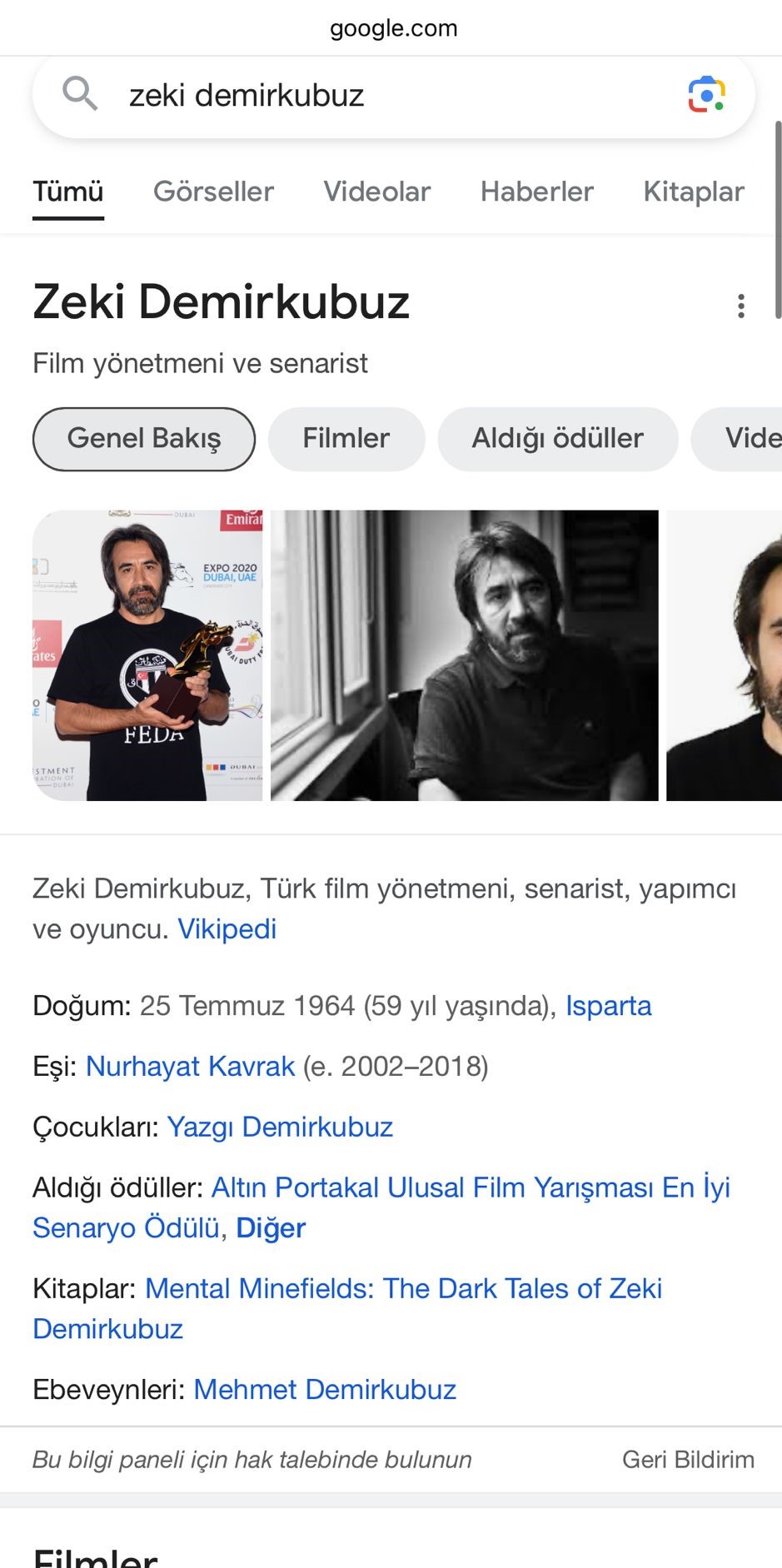 Bilgi Paneli Google