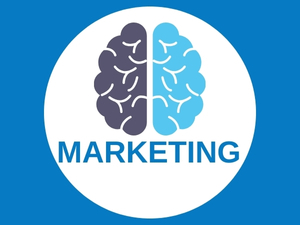 Nöro Pazarlama Nedir? Tüketici Davranışlarına Bilimsel Yaklaşım