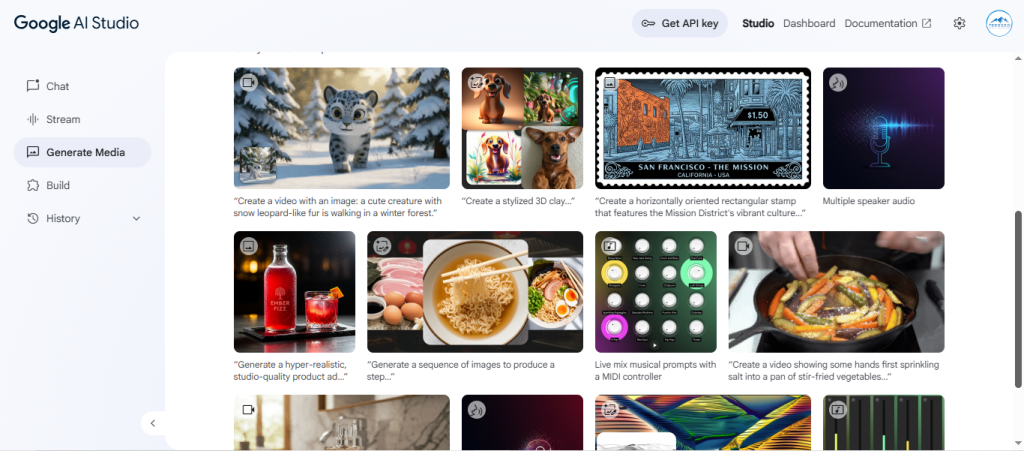 Google Veo Videoları