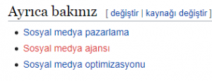 wikipedia keywords